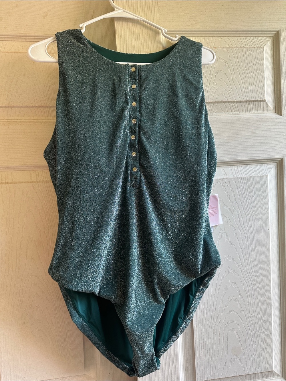 Andie Shimmery Teal One-Piece Swimsuit with Front Buttons